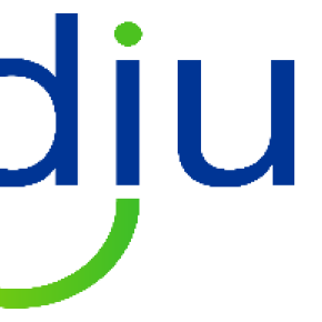 Fidium logo