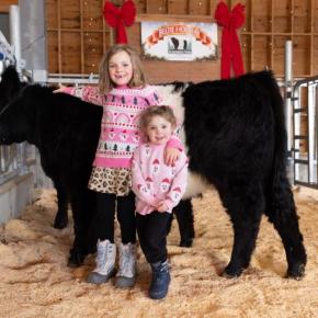 Two girls pose in front of Belted Galloway cow
