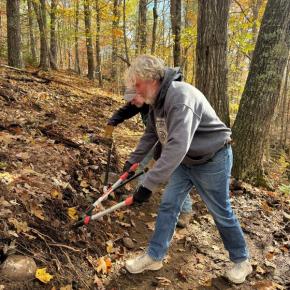 Two people cut roots in the forest