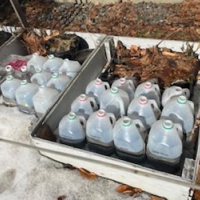 Milk jugs on the ground