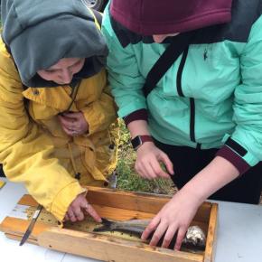 two people measure a fish