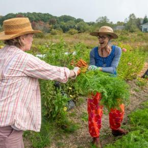 one woman hands a heap of carrots to another woman