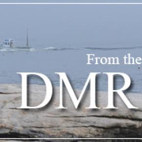DMR Bulletin banner