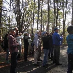 Group of adults looking up