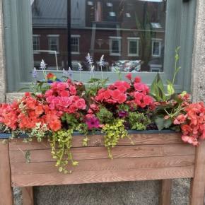 window box