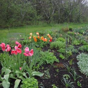 perennial gardens