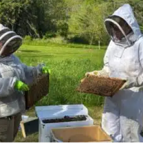 beekeepers