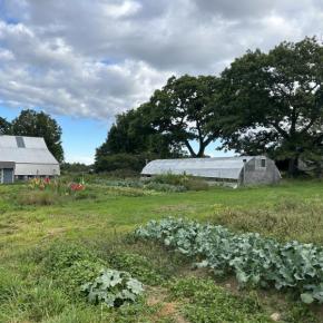 gardens at the farm