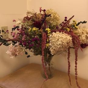 dried flowers in a vase