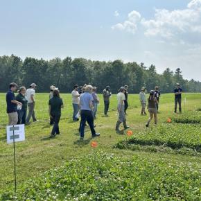 people walk through a field