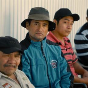 four men look at camera