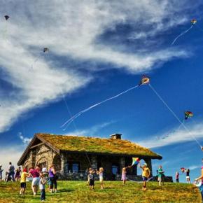 families and kites 