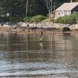 Drift Inn Beach