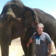 Hope elephants