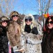 2013 US National Toboggan Championships
