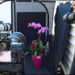 Cameras focus on the still life of an orchid. (Photos by Chris Wolf)