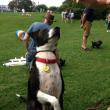 Milo - Winner Top Dog - $140 Raised for PAWS