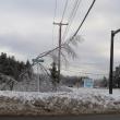 Another branch lays on a power line at the intersection of Lincolnville Avenue and Route 1 in Belfast. 