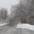 Trees create icicle curtains across Eagle Drive in Northport.