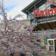 Belfast Hannaford.