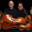 DaPonte String Quartet