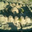 sand castle