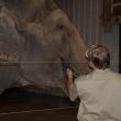 hope elephants (1499)