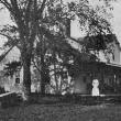 willow farm
