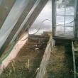 greenhouse