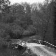 little bridge