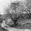 roads
