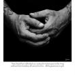 these hands