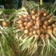 onions