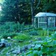 jeff’s garden