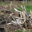burn pile