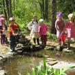 frog pond