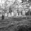 ulmer cemetery