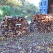 woodpiles