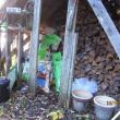 woodshed