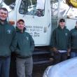 tree crew