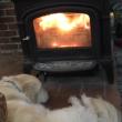 Blazing Fire