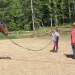 krystal and horse