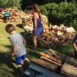 wood