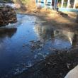 puddle