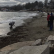 tides