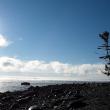 shag rock
