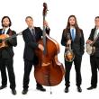 The Henhouse Prowlers