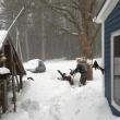 snow blowing