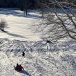 Sledding