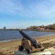 Cannon